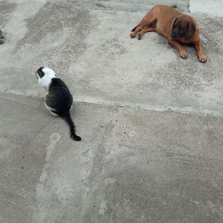 Lovas Vendeghaz Apartment Obanya Bagian luar foto