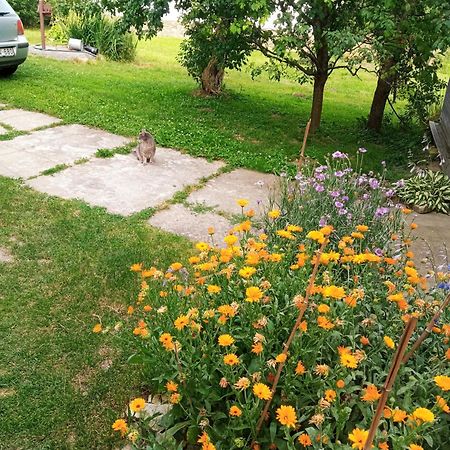 Lovas Vendeghaz Apartment Obanya Bagian luar foto