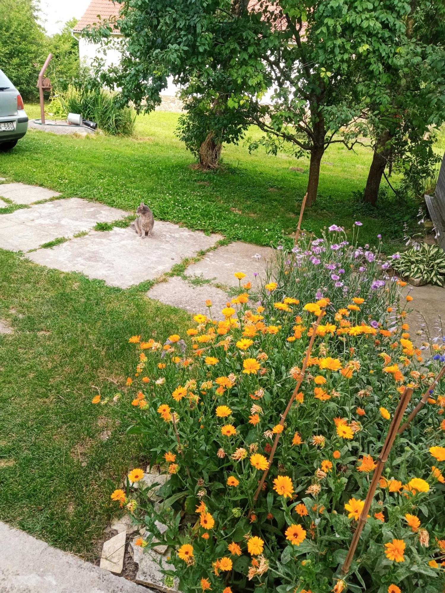 Lovas Vendeghaz Apartment Obanya Bagian luar foto